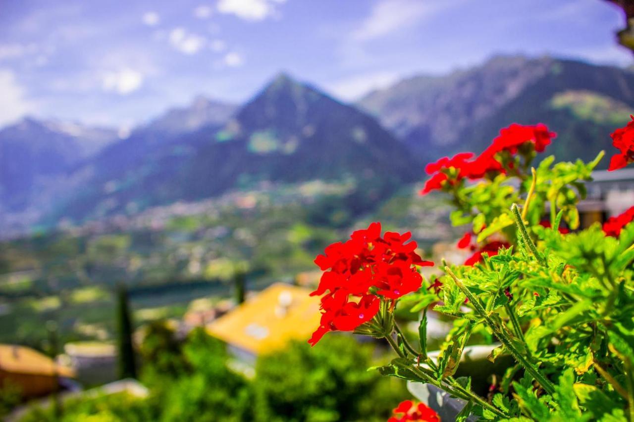 Schenna Garni Eden Bed & Breakfast Exterior foto