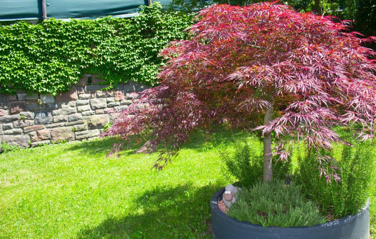 Schenna Garni Eden Bed & Breakfast Exterior foto